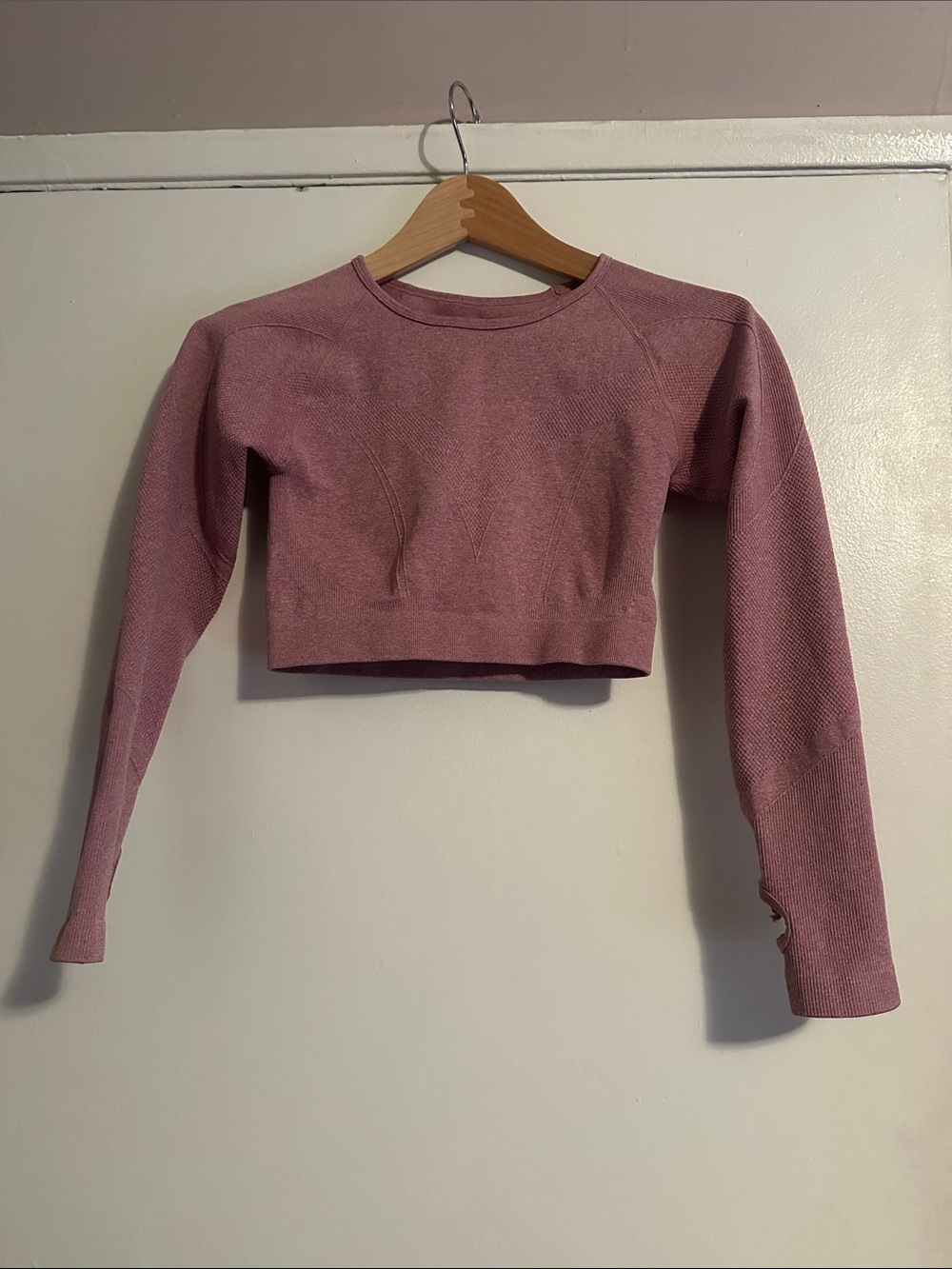 Women's Mauve Cropped Long-Sleeve Top